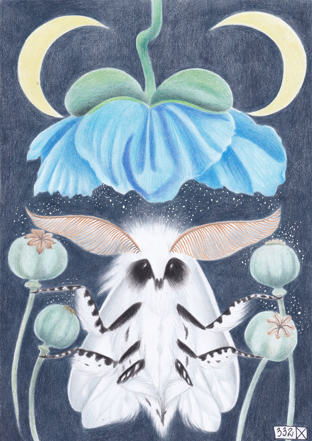 Shivas maracas